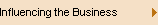 Influencing the Business