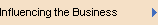 Influencing the Business