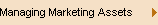 Managing Marketing Assets