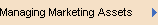 Managing Marketing Assets