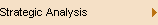 Strategic Analysis