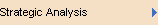 Strategic Analysis