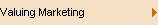 Valuing Marketing