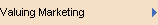 Valuing Marketing